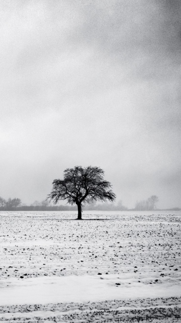 Fondo de pantalla Black And White Winter 360x640