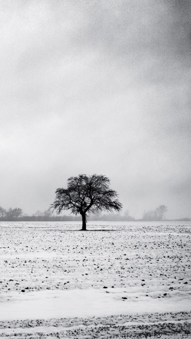 Black And White Winter screenshot #1 640x1136