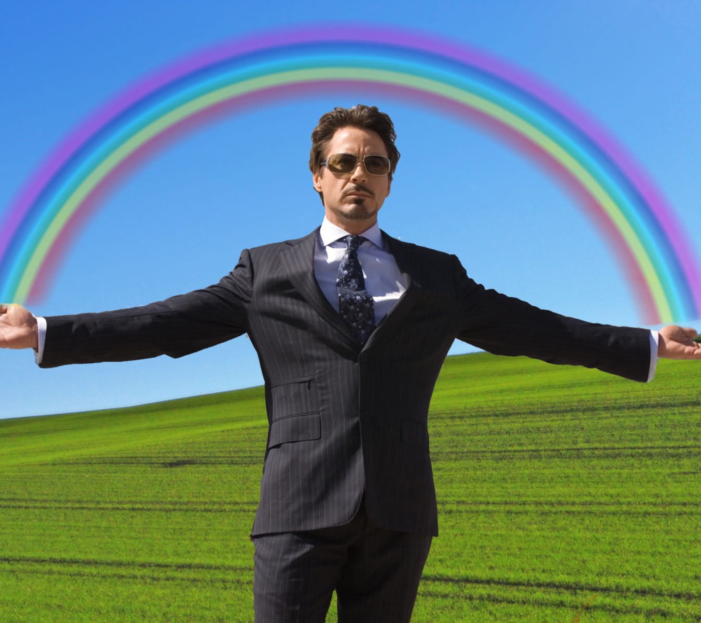 Screenshot №1 pro téma Robert Downey Jr 1440x1280