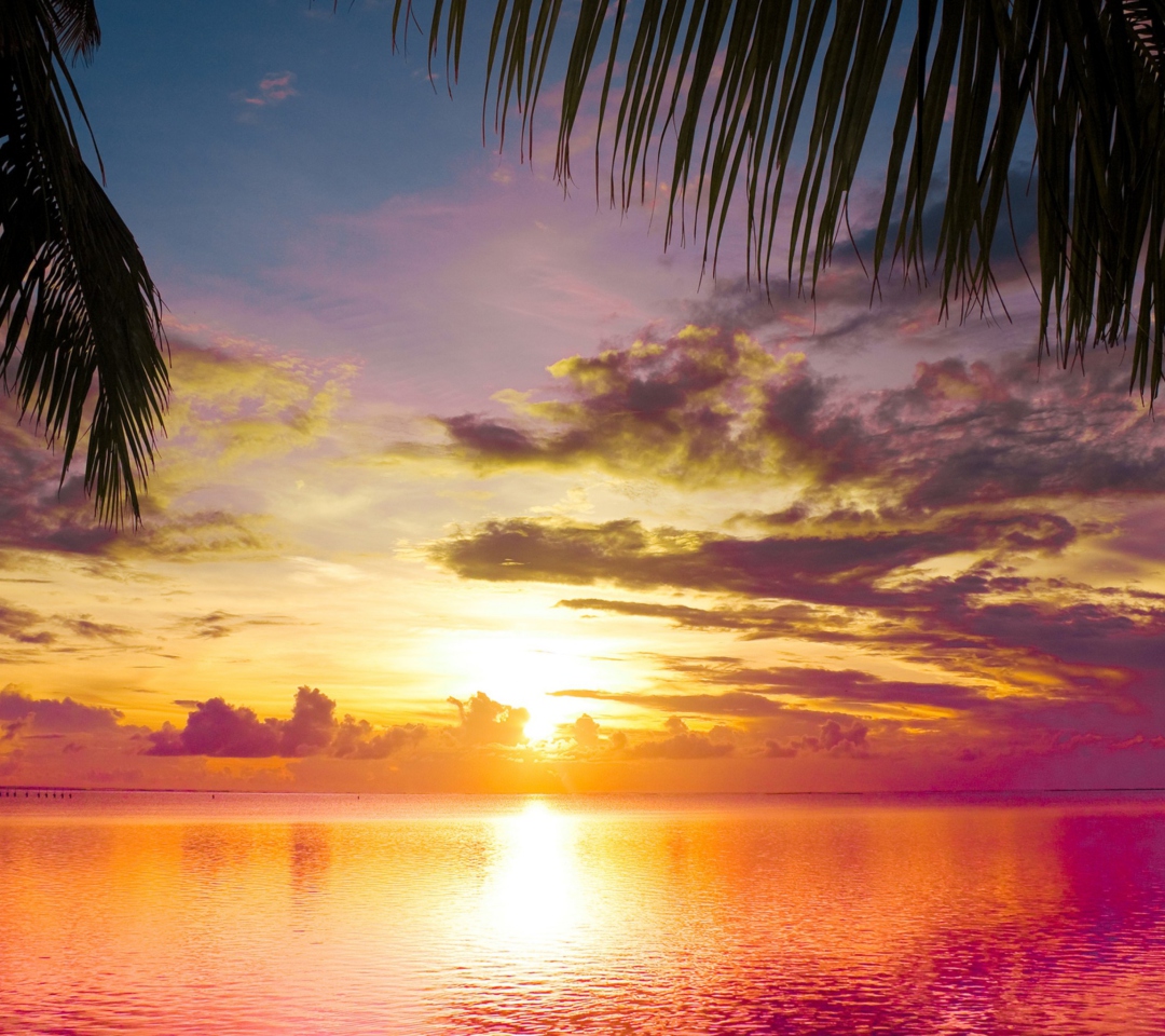 Обои Sunset Between Palm Trees 1080x960