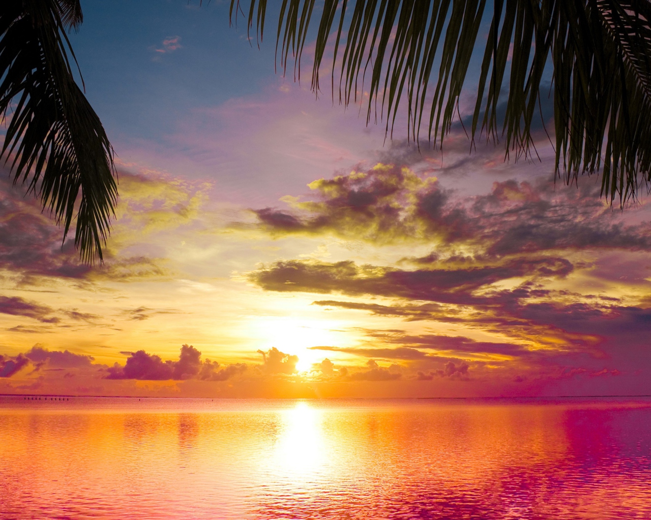 Das Sunset Between Palm Trees Wallpaper 1280x1024