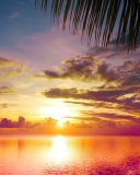 Sunset Between Palm Trees screenshot #1 128x160