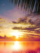 Sunset Between Palm Trees screenshot #1 132x176