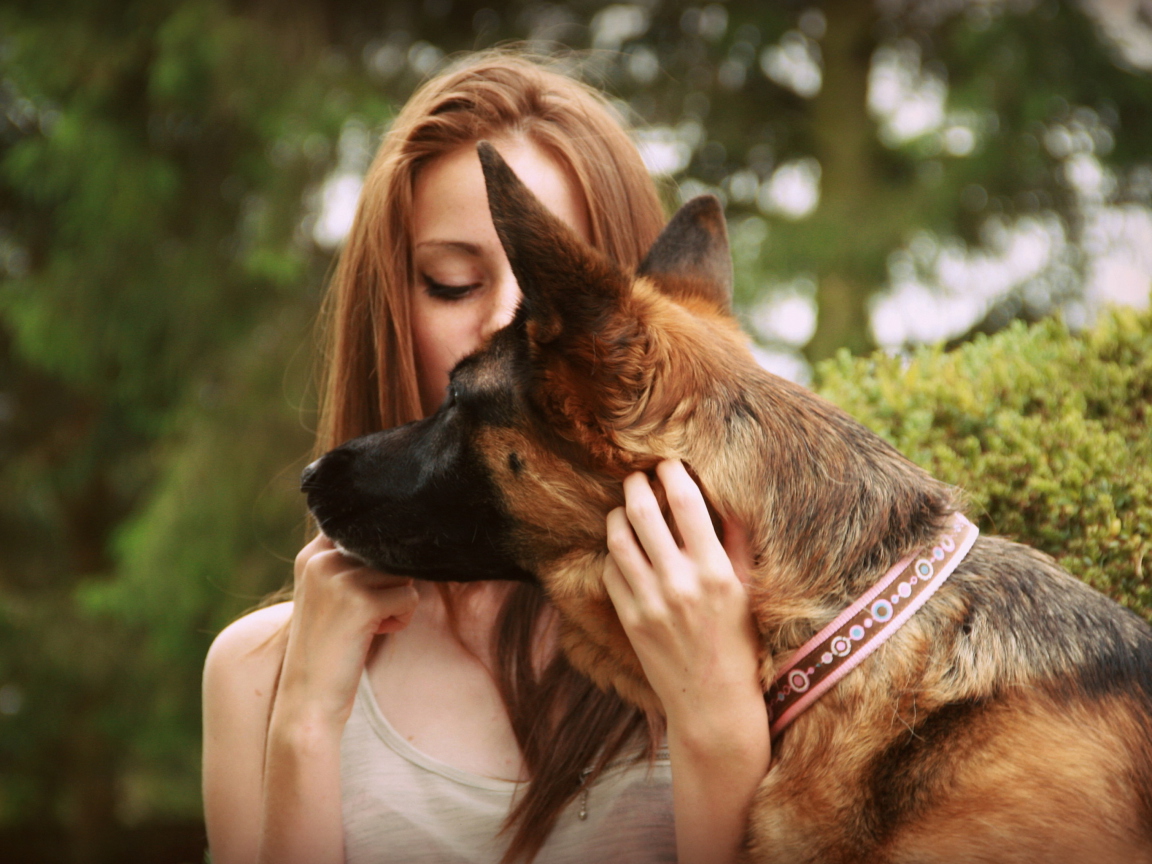 Sfondi Girl And German Shepherd 1152x864