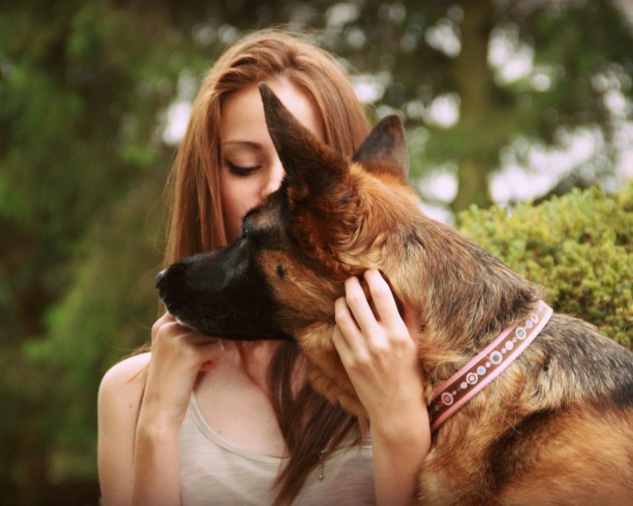 Sfondi Girl And German Shepherd 1280x1024