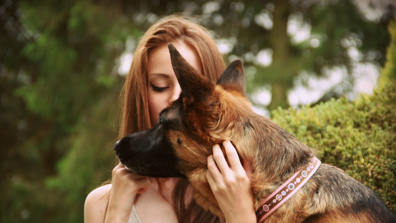 Fondo de pantalla Girl And German Shepherd 1366x768