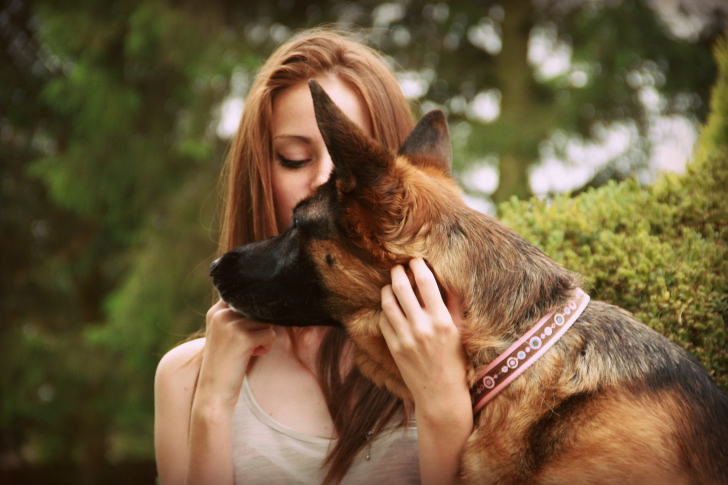 Обои Girl And German Shepherd