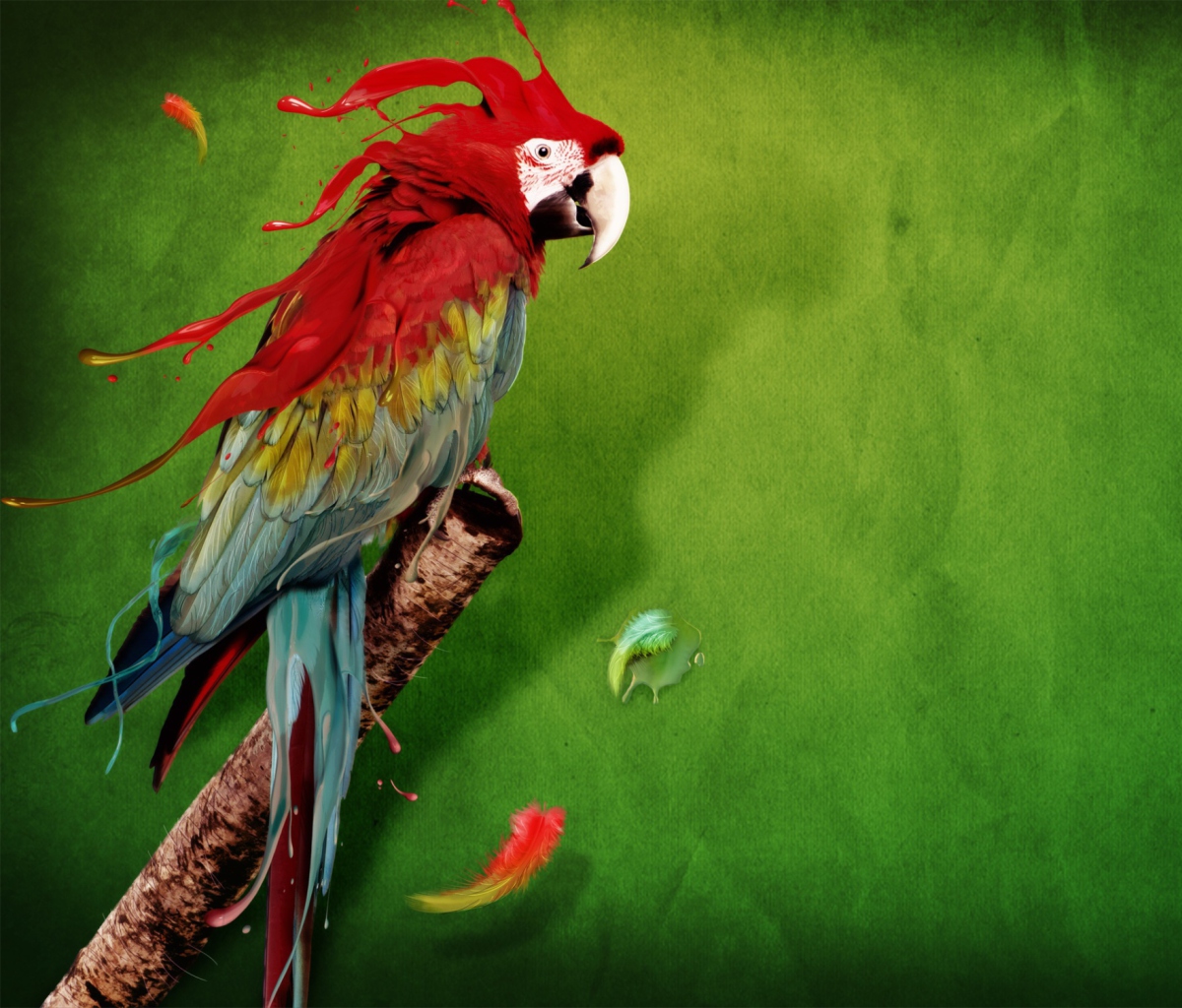 Das Splash Of Parrot Wallpaper 1200x1024