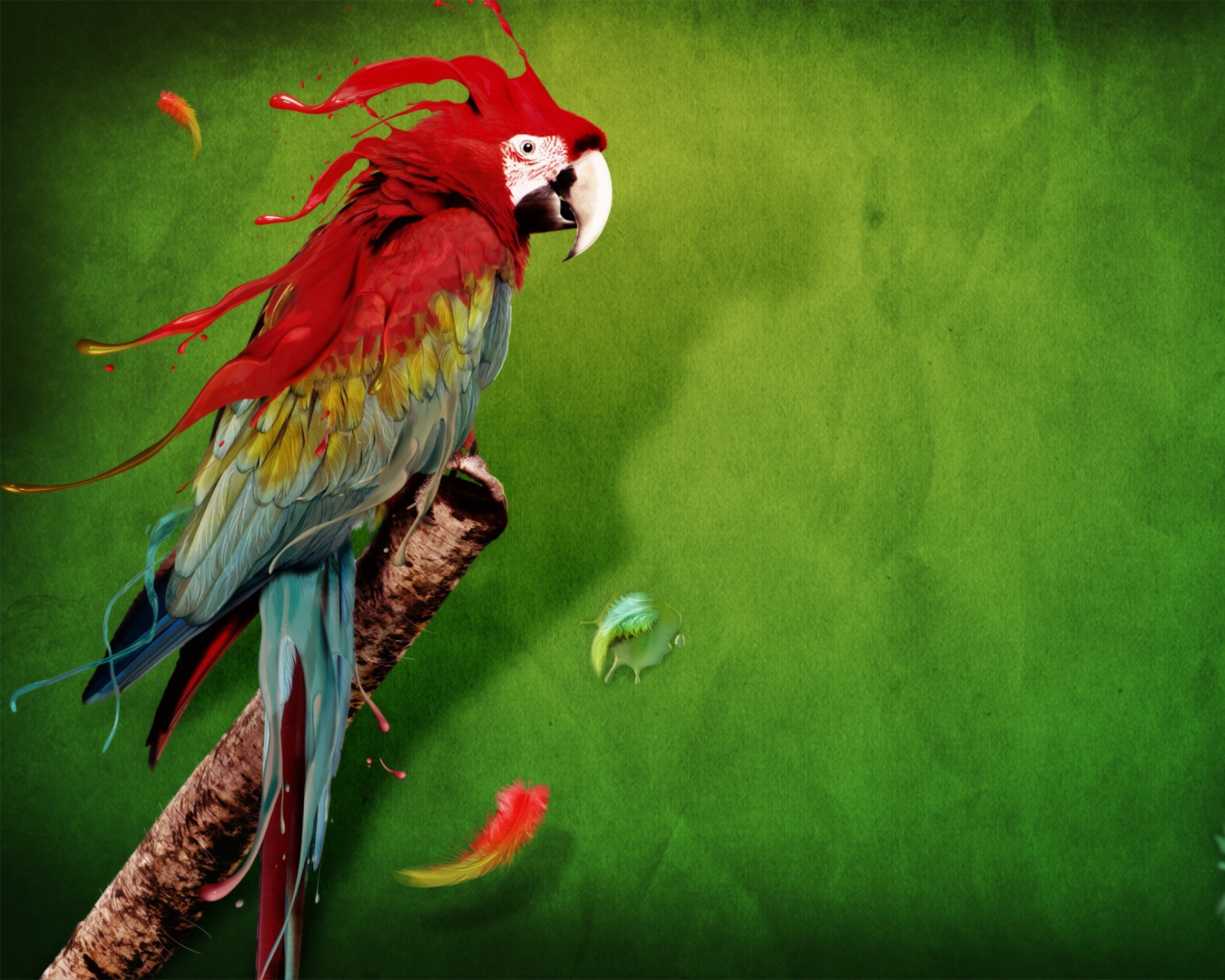 Splash Of Parrot screenshot #1 1600x1280