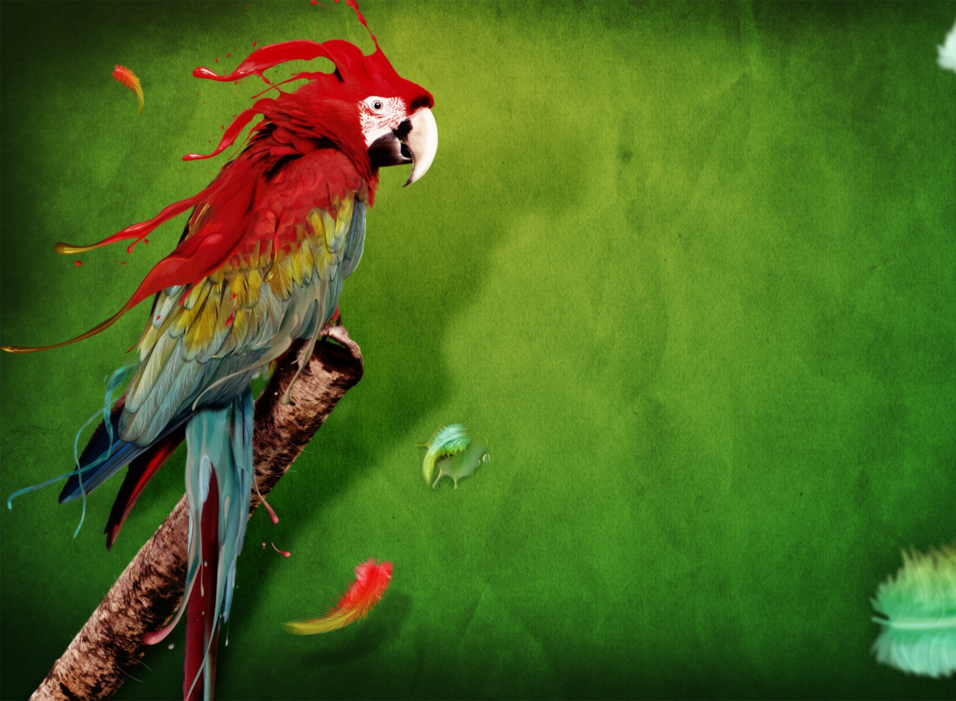 Splash Of Parrot wallpaper 1920x1408