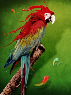 Обои Splash Of Parrot 240x320