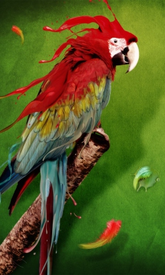 Das Splash Of Parrot Wallpaper 240x400