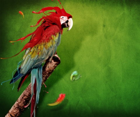 Splash Of Parrot screenshot #1 480x400