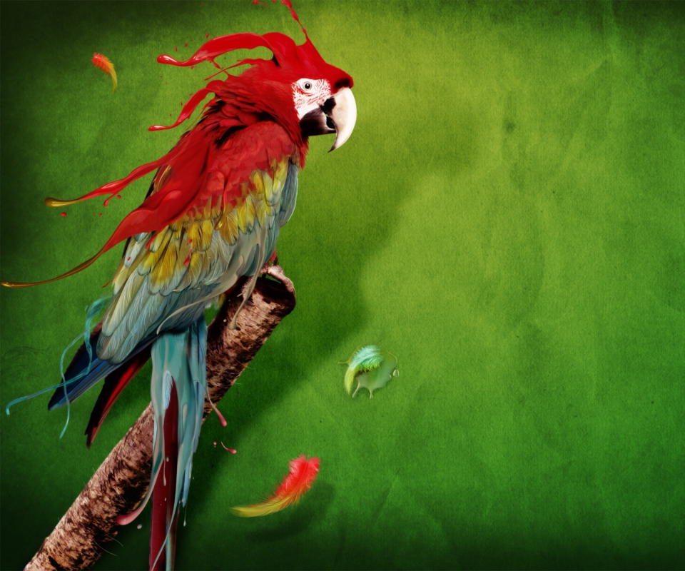 Das Splash Of Parrot Wallpaper 960x800