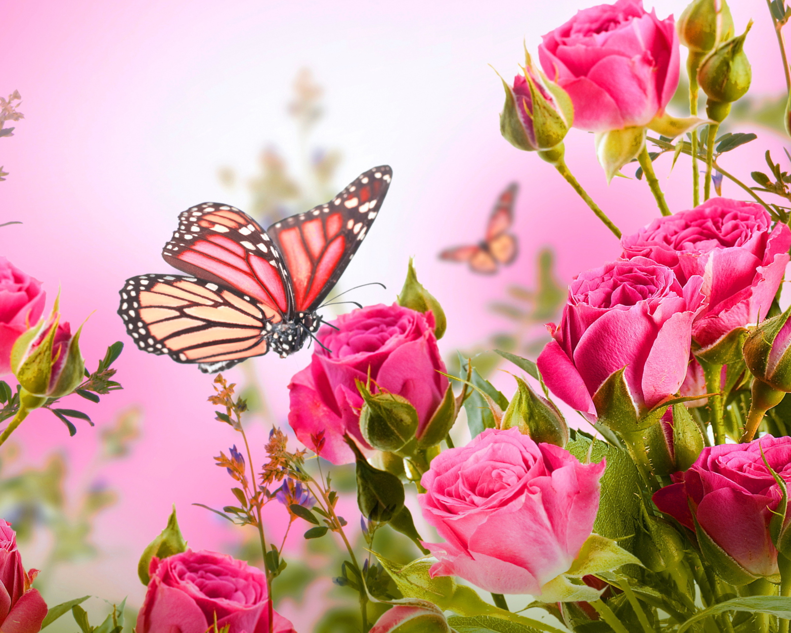 Screenshot №1 pro téma Rose Butterfly 1600x1280