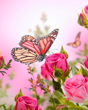 Rose Butterfly wallpaper 176x220