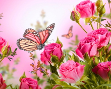 Rose Butterfly wallpaper 220x176