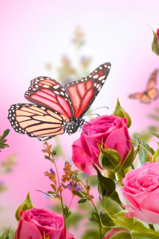 Rose Butterfly wallpaper 320x480