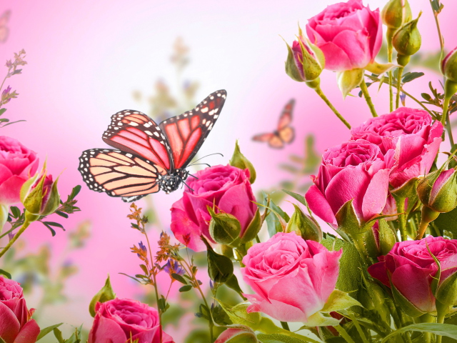 Rose Butterfly wallpaper 640x480