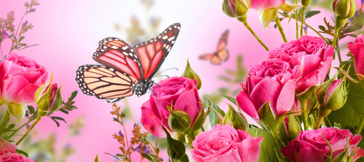 Rose Butterfly wallpaper 720x320