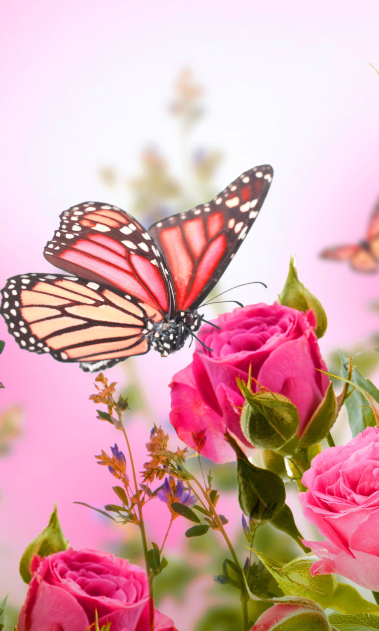 Rose Butterfly wallpaper 768x1280