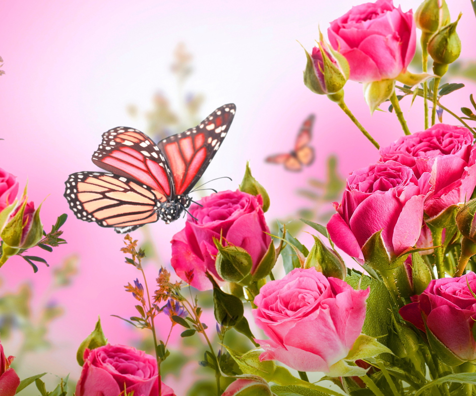 Rose Butterfly wallpaper 960x800