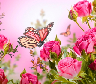 Kostenloses Rose Butterfly Wallpaper für 208x208