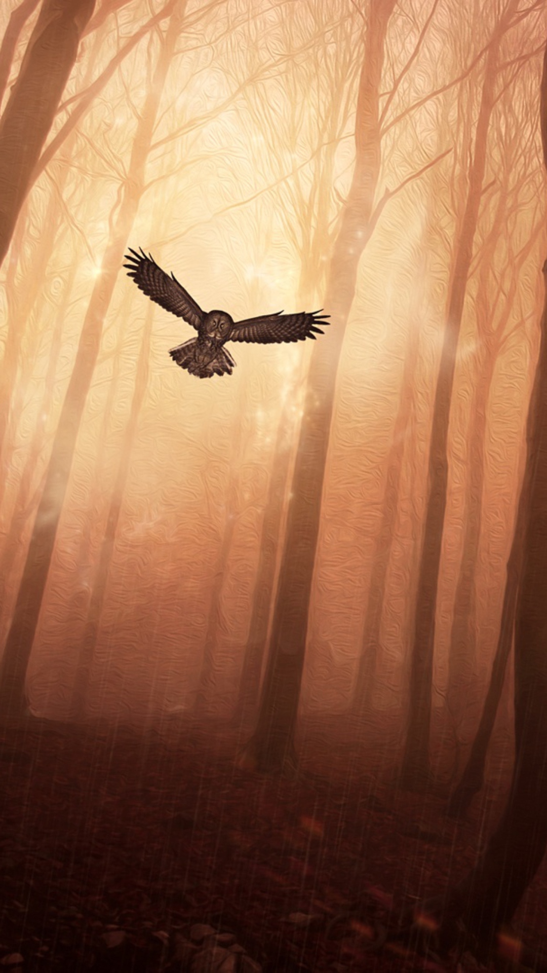 Dark Owl In Dark Forest wallpaper 1080x1920