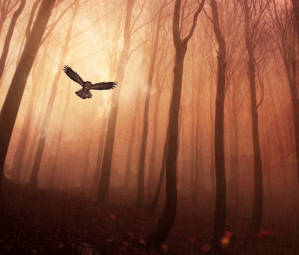 Screenshot №1 pro téma Dark Owl In Dark Forest 1200x1024