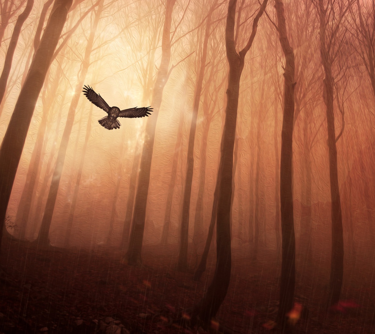 Обои Dark Owl In Dark Forest 1440x1280