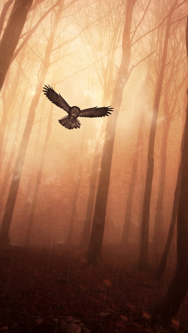 Screenshot №1 pro téma Dark Owl In Dark Forest 640x1136