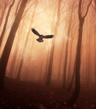Kostenloses Dark Owl In Dark Forest Wallpaper für 240x320
