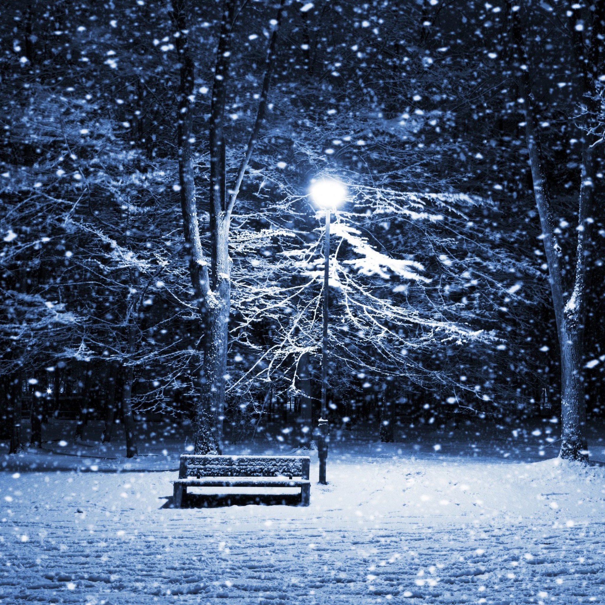 Sfondi Bench In Snowy Park 2048x2048