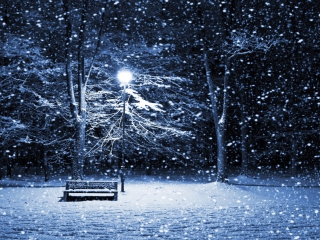 Bench In Snowy Park screenshot #1 320x240
