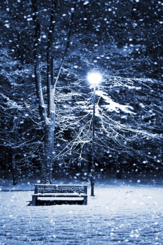Bench In Snowy Park screenshot #1 320x480