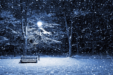 Bench In Snowy Park screenshot #1 480x320