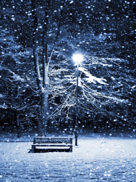 Bench In Snowy Park screenshot #1 480x640