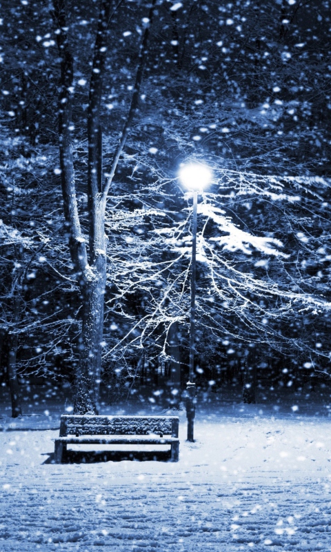 Bench In Snowy Park screenshot #1 480x800