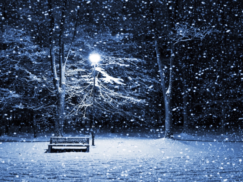Bench In Snowy Park screenshot #1 800x600
