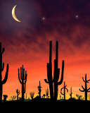 Saguaro National Park in Arizona wallpaper 128x160