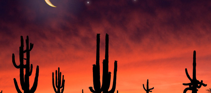 Saguaro National Park in Arizona screenshot #1 720x320