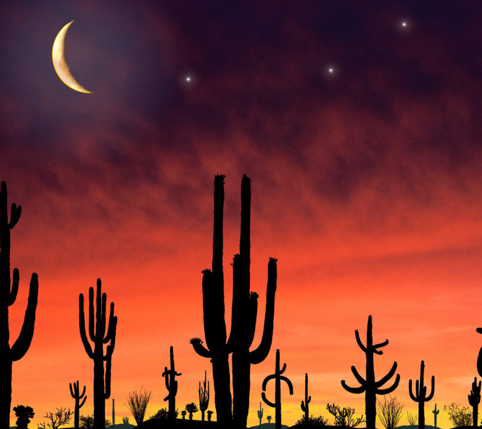 Screenshot №1 pro téma Saguaro National Park in Arizona 960x854