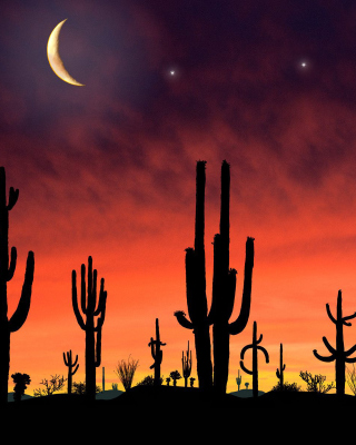 Saguaro National Park in Arizona - Obrázkek zdarma pro Nokia Lumia 1020