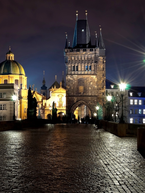 Prague Charles Bridge At Night screenshot #1 480x640