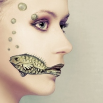 Das Fish Face Art Wallpaper 208x208