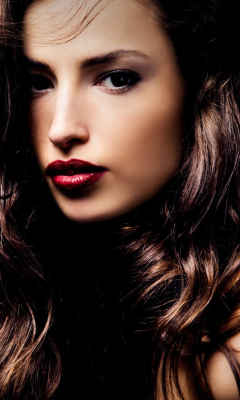 Beautiful Brunette wallpaper 480x800