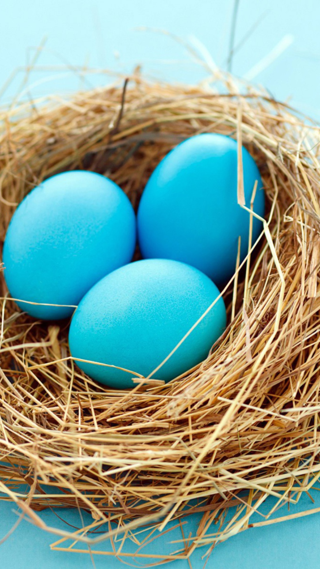 Das Blue Easter Eggs Wallpaper 1080x1920