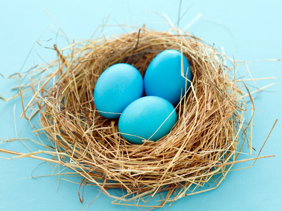 Blue Easter Eggs wallpaper 1152x864