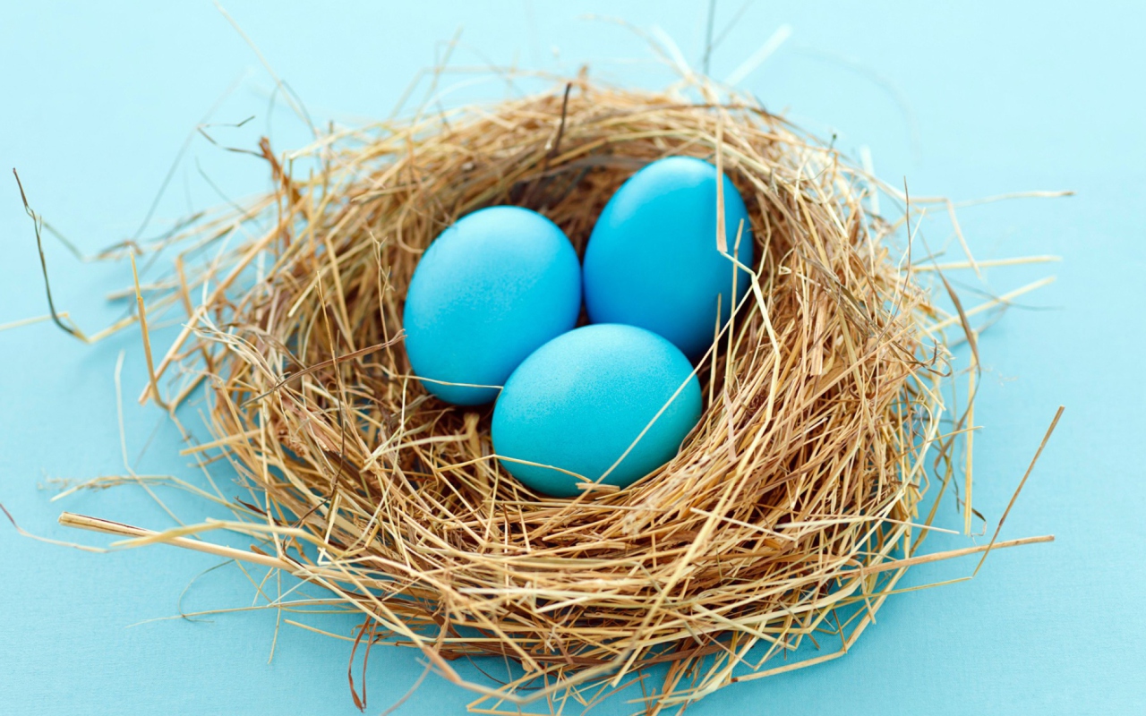 Blue Easter Eggs wallpaper 1280x800