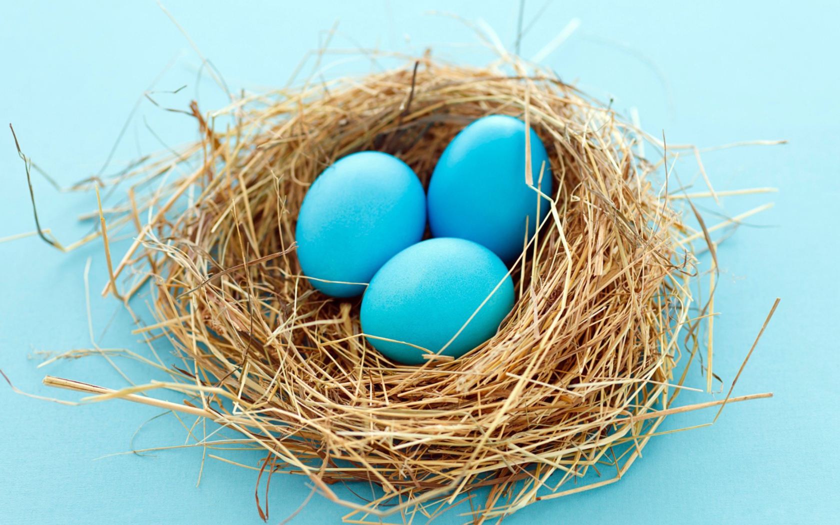 Sfondi Blue Easter Eggs 1680x1050